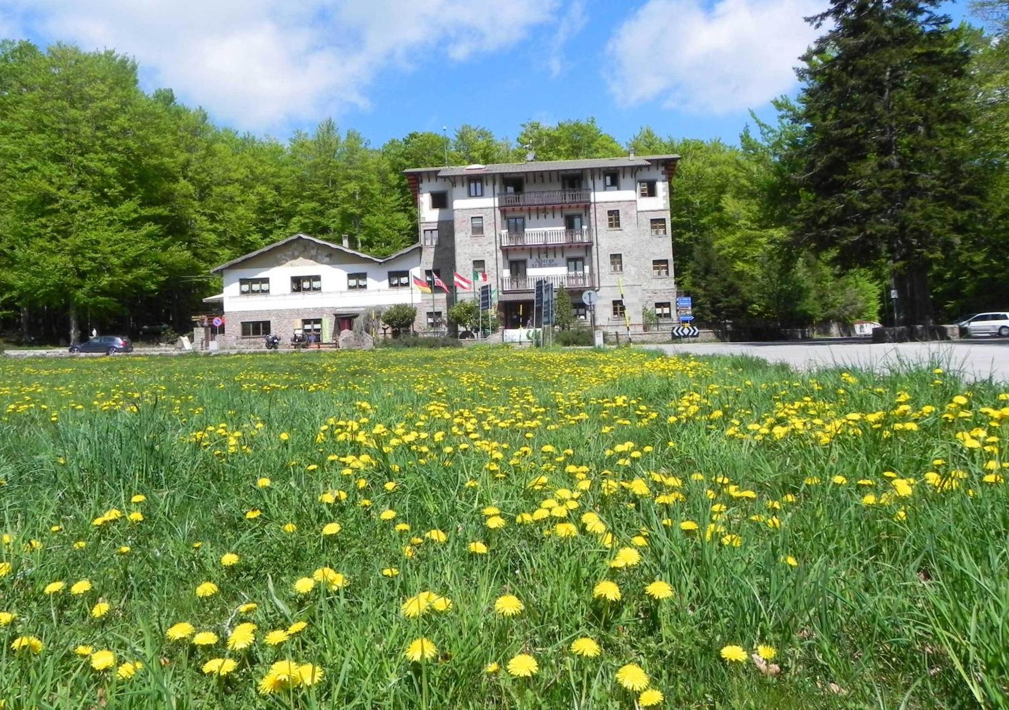 Albergo Le Macinaie - Monte Amiata Castel del Piano  Zewnętrze zdjęcie